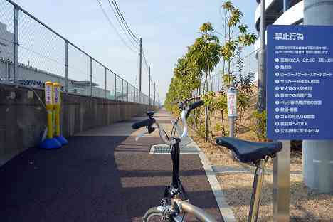 大黒ふ頭サイクリング