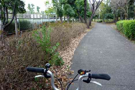 大黒ふ頭サイクリング