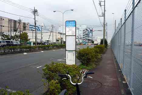 大黒ふ頭サイクリング