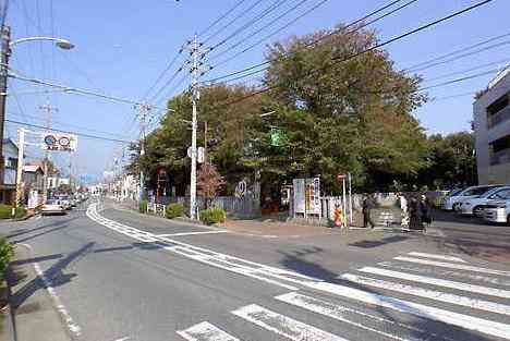 大山・江の島・鎌倉詣で