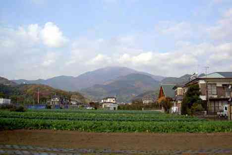 大山・江の島・鎌倉詣で