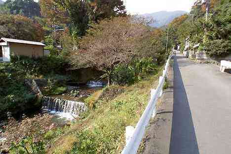 大山・江の島・鎌倉詣で