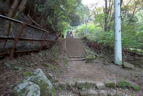 大山・江の島・鎌倉詣で