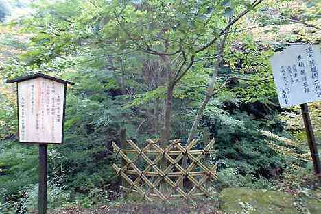 大山・江の島・鎌倉詣で