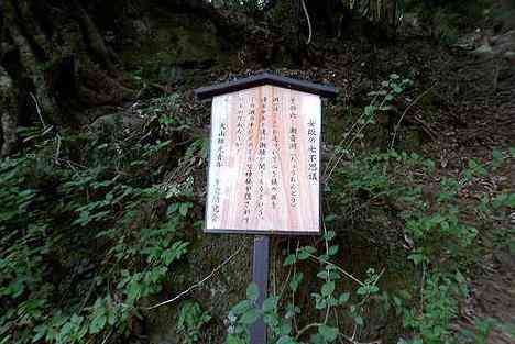 大山・江の島・鎌倉詣で