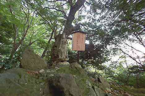 大山・江の島・鎌倉詣で