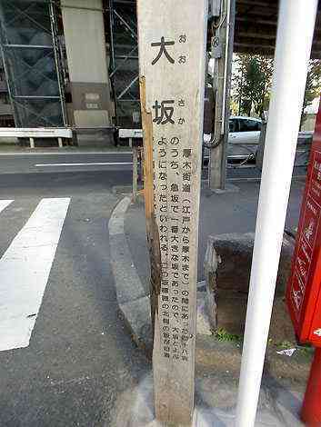 大山・江の島・鎌倉詣で