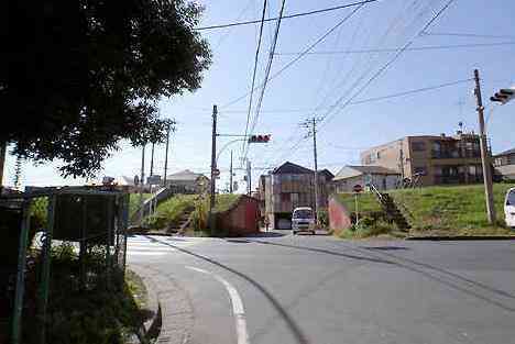 大山・江の島・鎌倉詣で