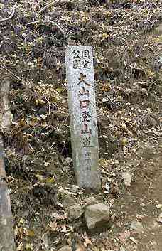 大山・江の島・鎌倉詣で