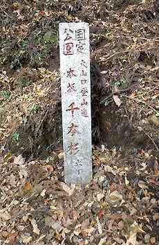 大山・江の島・鎌倉詣で