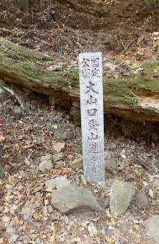 大山・江の島・鎌倉詣で