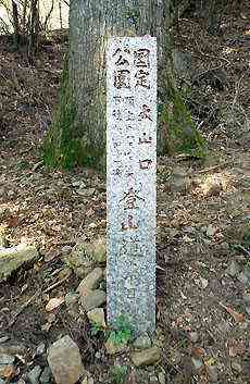 大山・江の島・鎌倉詣で