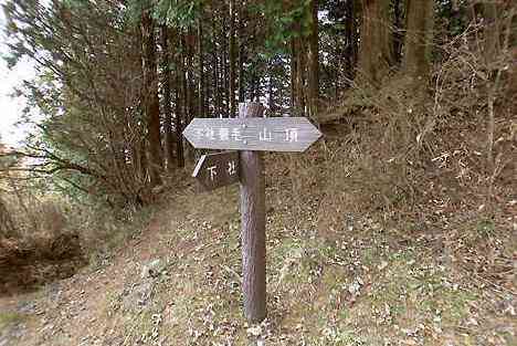 大山・江の島・鎌倉詣で