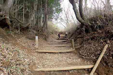 大山・江の島・鎌倉詣で