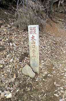 大山・江の島・鎌倉詣で