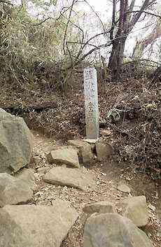 大山・江の島・鎌倉詣で