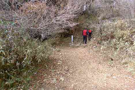 大山・江の島・鎌倉詣で