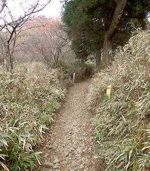 大山・江の島・鎌倉詣で