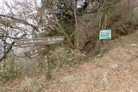 大山・江の島・鎌倉詣で