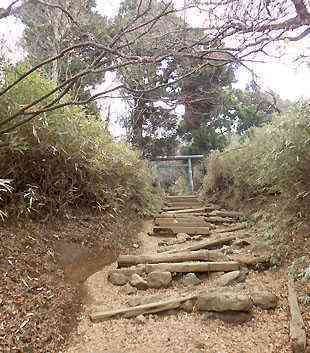 大山・江の島・鎌倉詣で