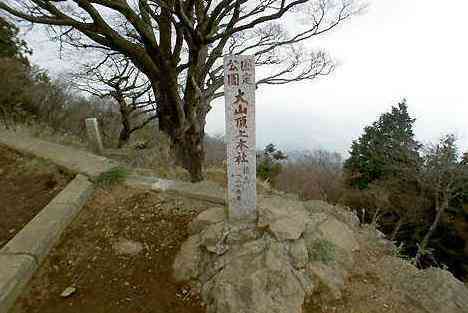 大山・江の島・鎌倉詣で