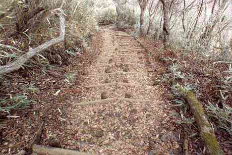 大山・江の島・鎌倉詣で