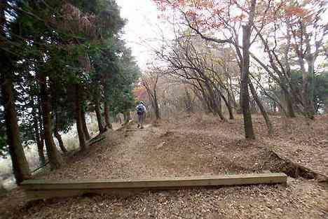 大山・江の島・鎌倉詣で