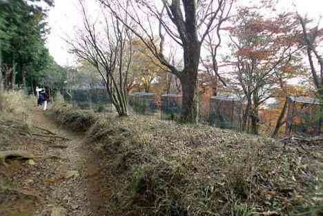 大山・江の島・鎌倉詣で