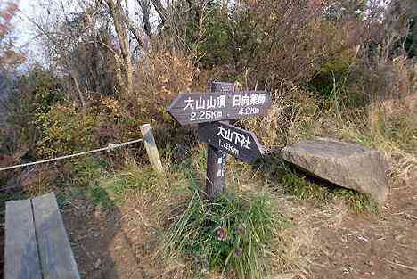 大山・江の島・鎌倉詣で