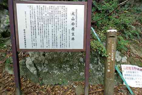 大山・江の島・鎌倉詣で