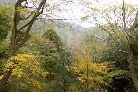 大山・江の島・鎌倉詣で