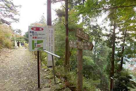 大山・江の島・鎌倉詣で