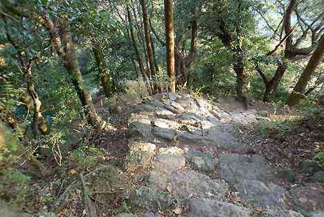 大山・江の島・鎌倉詣で