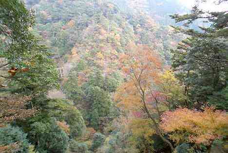 大山・江の島・鎌倉詣で