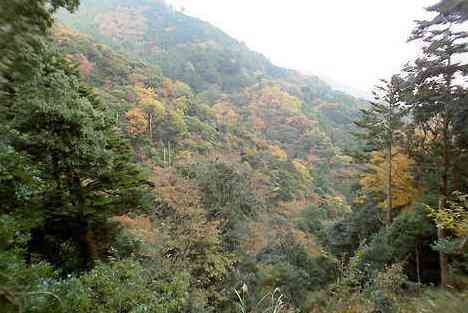 大山・江の島・鎌倉詣で