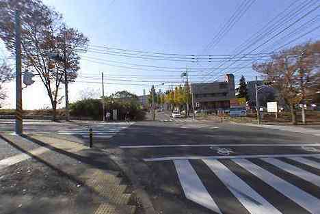 大山・江の島・鎌倉詣で