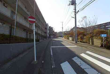 大山・江の島・鎌倉詣で