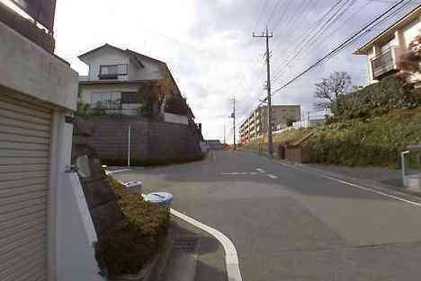 大山・江の島・鎌倉詣で