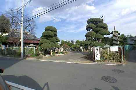 大山・江の島・鎌倉詣で