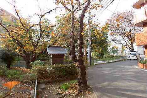 大山・江の島・鎌倉詣で