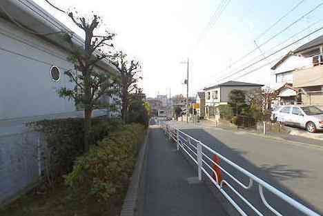 大山・江の島・鎌倉詣で