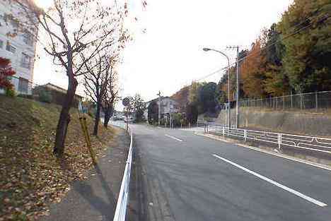 大山・江の島・鎌倉詣で