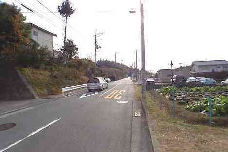 大山・江の島・鎌倉詣で