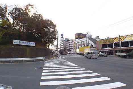 大山・江の島・鎌倉詣で