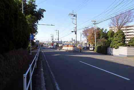 大山・江の島・鎌倉詣で