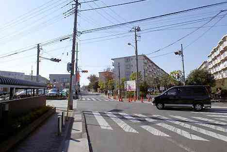 大山・江の島・鎌倉詣で