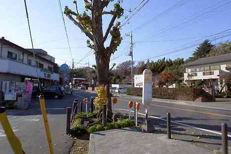 大山・江の島・鎌倉詣で