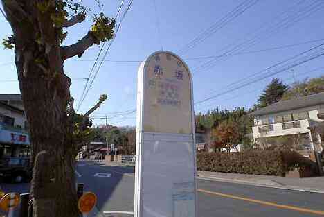 大山・江の島・鎌倉詣で