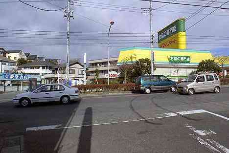 大山・江の島・鎌倉詣で