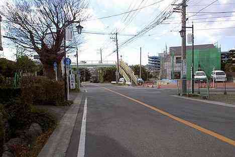 大山・江の島・鎌倉詣で